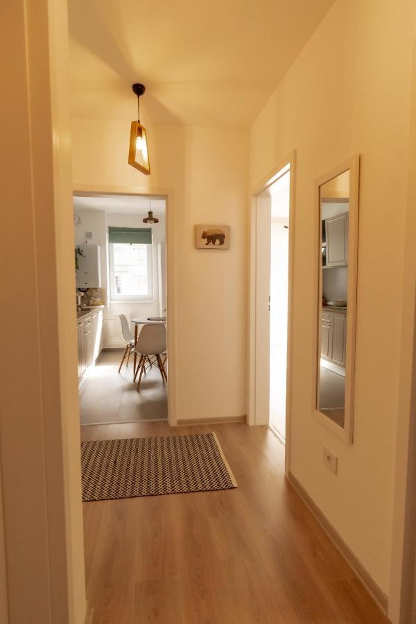Brown Bear Apt. Boho Style Bedroom W/ City View & Free Parking Braşov Dış mekan fotoğraf